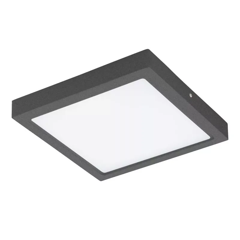 Expressz kézbesítés Eglo Argolis 96495 kültéri mennyezetlámpa, 22W LED