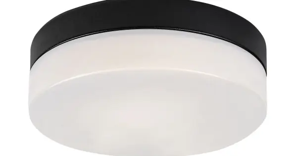 Végkiárusítás Rábalux Gaelo fekete fürdőszobai LED mennyezeti lámpa (RAB-75026) LED 1 izzós IP44