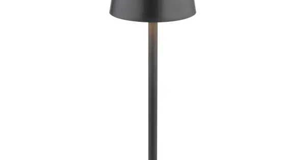 Biztonságos fizetés Globo Vannie fekete vízvédett LED asztali lámpa (GLO-58438G) LED 1 izzós IP44