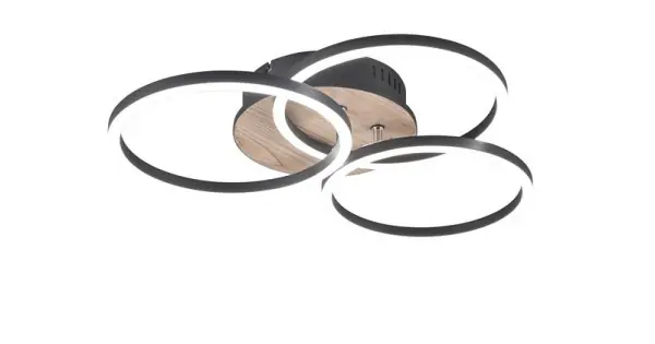 Gyors kiszállítás Trio Circle natúr-fekete LED mennyezeti lámpa (TRI-R62823135) LED 1 izzós IP20