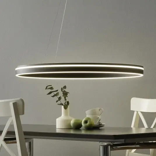 Korlátozott ajánlat Paul Neuhaus Q-VITO LED függő lámpa 79 cm antracit