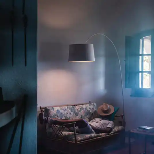 Rendeld meg most Foscarini Twiggy Wood LED állólámpa greige