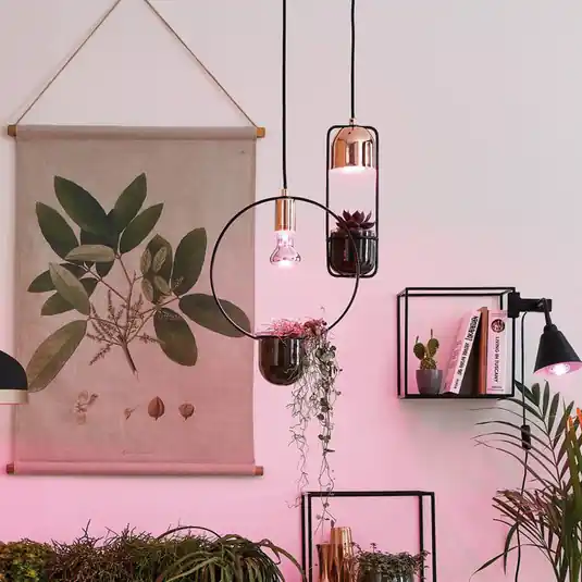 Paulmann Go Green GU10 3,5W LED-es növénylámpa Olcsóbb