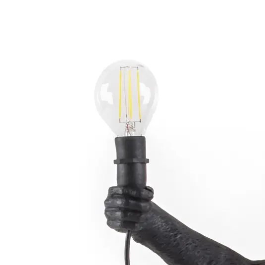 Ajánlat SELETTI LED izzó Monkey Lamp Outdoor E14 2 W 24 V/36 V
