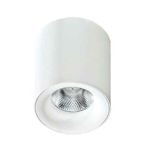 Szuper ajánlat Azzardo AZ2845 LED mennyezeti spotlámpa Mane 1x10W 850lm 3000K IP20 - fehér