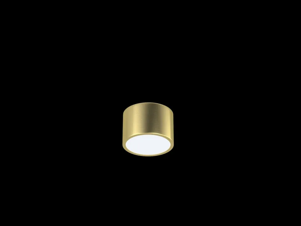 Kihagyhatatlan ajánlat Immax Neo 07127L LED mennyezeti lámpa 1x12W 840lm 2700-6500K - távirányítás, világítási hőmérséklet beállítása, szabályozható, aranyszínű